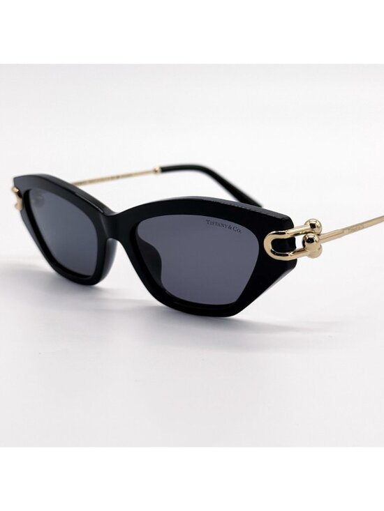 New Tiffany & Co TF4231U 8001/81 Black Polarized Cat Eye Women Sunglasses main image 8